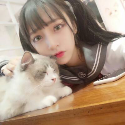 沧元修真游戏下载